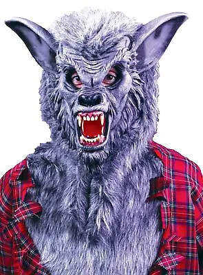 Werewolf BIG BAD Teen WOLF MAN MASK Costume GRAY • $25.94