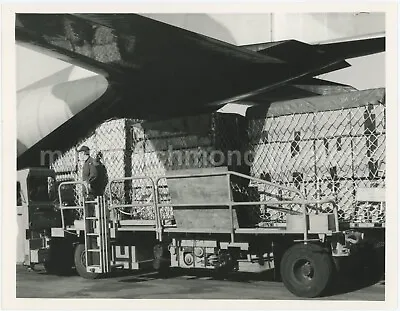 RAF Lockheed Hercules Loading Large Original Photo BZ991 • £8.99