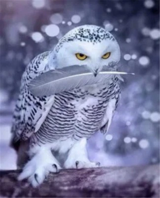 $19.02 • Buy 50X70CM White Owl Feather 5D Diamond Painting Embroidery DIY Kits Decor Art Gift