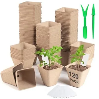 120 Pack 3.15 Inch Square Peat Pots For Seedlings Seed Starting Wood Color • $29.40