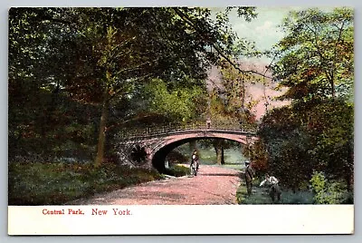 Postcard Central Park Bridge Horseback Riding Bridle Path  Manhattan NY C 1910 • $1.50