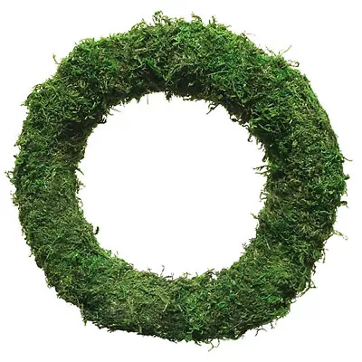 Plain Make Your Own Padded Moss Effect Wreath Ring Decoration Rings (2 SIZES) • £10.99