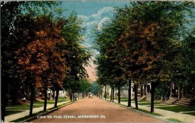 1910. View On Park St. Mckeesport Pa. Postcard. Bq15 • $7