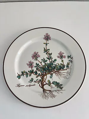 Villeroy & Boch Depuis 1748 Botanica 8 1/4” Salad Plate Thymus Pulegioides • $12.99