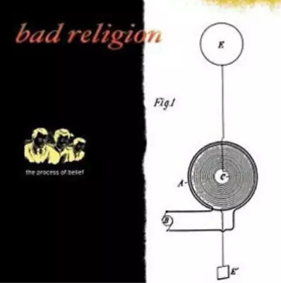 Bad Religion The Process Of Belief (Vinyl) 12  Album (US IMPORT) • $62.28