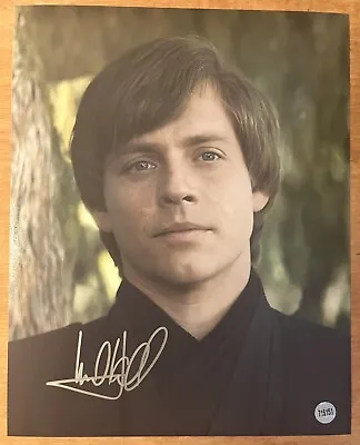 Mark Hamill Signed Autographed Star Wars Luke Skywalker 8x10 Photo With COA • $129.99