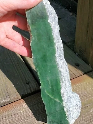$165 • Buy Siberian Medium Green Jade Rough, 3lbs 2.5oz