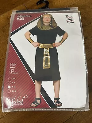 Egyptian King  Dress Up Outfit Ages 8-10 • £5