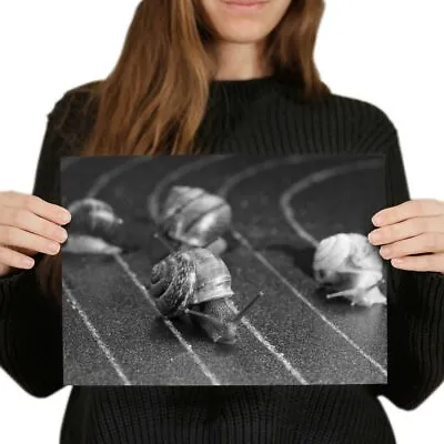 A4 BW - Racing Snails Race Funny Insect Snail Poster 29.7X21cm280gsm #43556 • £3.99