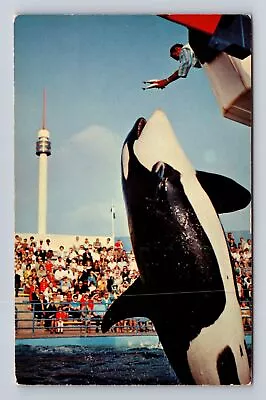 Marineland Of The Pacific CA-California Killer Whale Leap Vintage Postcard • $8.99