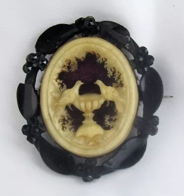 Antique Black Jet Carved Celluloid Doves Bird Bath Ferns Mourning Brooch Pin • $279