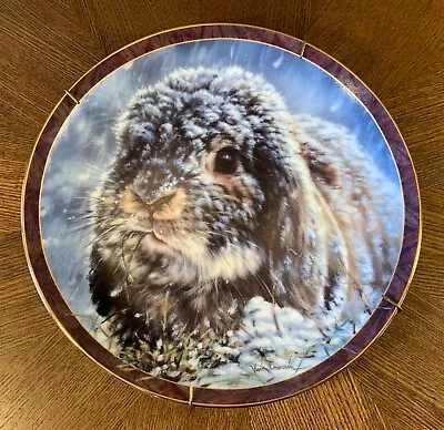 1997 Bunny Tales  Snow Bunny  By Vivi Crandall Limited Edition Plate #8512A • $17