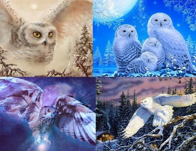 $12.95 • Buy 5D Diamond Painting Kits Full Round Drill Owls Craft Art DYI Home Decor