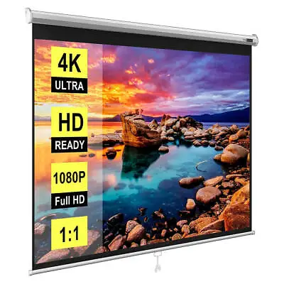 120 1:1 Projection Projector Screen Manual Pull Down Matte HD Movie Theater Home • $59.99