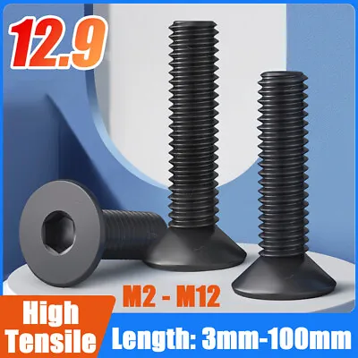 M2 - M12 Countersunk Screws Allen Key Socket Bolt Self Colour High Tensile 12.9 • £115.14