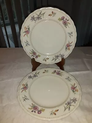 (2) MIKASA MAXIMA CAJ04 BRYWOOD Bread And Butter Plates • $19.99