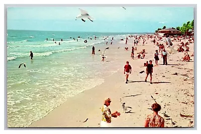 Fort Meyers Beach FL Florida Gull Feeding Time Estero Island Unp Chrome Postcard • $5.93