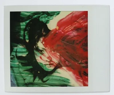 NOBUYOSHI ARAKI Original SIGNED Polaroid With COA • $1300