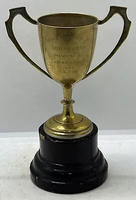 Vintage 1965 Dorking Fat Stock Show Best Heifer Houston Texas Loving Cup Trophy • $24.99