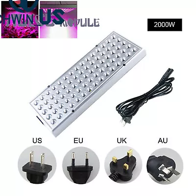 8000W/2000W LED Grow Light Hydroponic Full Spectrum Indoor Flower Growing B2AM • $17.09