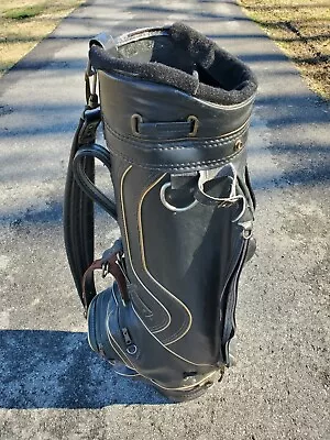 Vintage Titleist DCI Cart Bag Golf Bag • $119.99