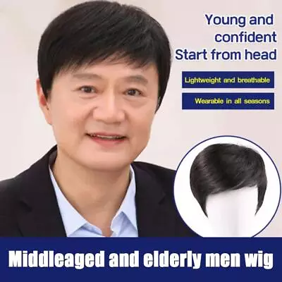Realistic Full Head Covering Wig For MiddleAged Mens Wig^ • $6.20