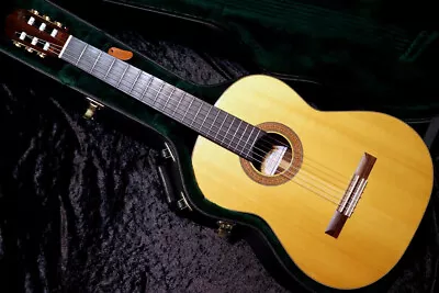 Martin USED C-TSH 1996 Raised Fingerboard Dignified Gut Guitar In Stock • $2717