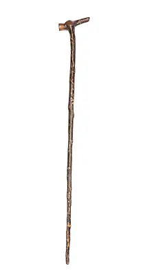 $55 • Buy Vintage Antique Estate T-Handle Walking Stick Cane Knobby Natural Wood Old 35”