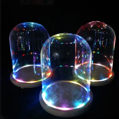 £10.95 • Buy LED Light Up Glass Display Cloche Dome Bell Jar RGB/Warm White Wood Base Decorat