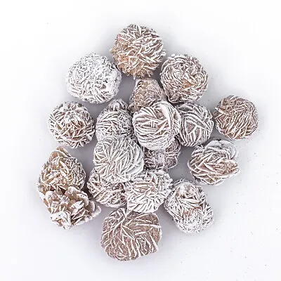 $19.99 • Buy 3/4 Lb Small Desert Rose Sand Selenite Gypsum Rose Gemstone Crystals Bulk Rocks