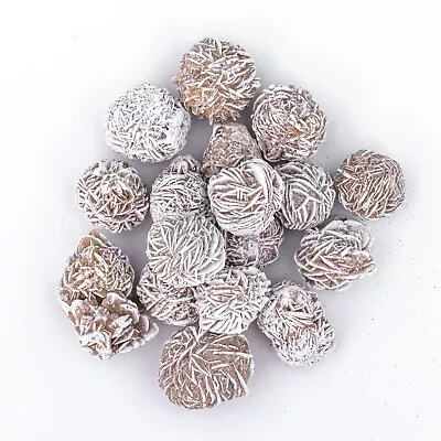 $19.99 • Buy 3/4 Lb Small Desert Rose Sand Selenite Gypsum Rose Gemstone Crystals Bulk Rocks