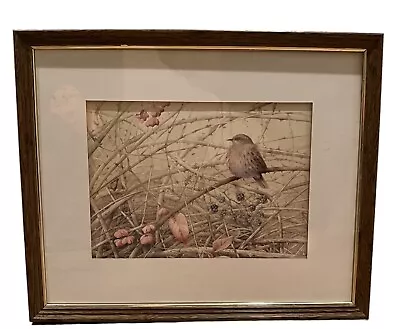 Marjolein Bastin Framed Art Print Birds Natures Sketchbook Blackberries Large • $50