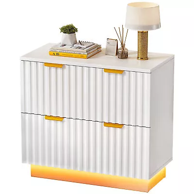 2-Drawer Lateral File Cabinet With LED Light Filing Cabinet For Office Organizer • $109.99