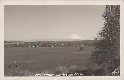 RPPC Postcard Mt Rainier  Auburn WA  • $35