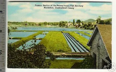 1959 PA Fish Hatchery Huntsdale Cumberland Co. PA • $5.95