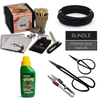 Apprentice Bonsai Tree Starter Kit Bundle | Grow Your Own Bonsai Tree | Beginner • £53.99