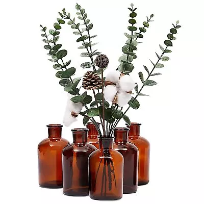 6 Pack Small Glass Vases For Centerpieces Amber 7.5 Oz Propagation Jars For ... • $28.27