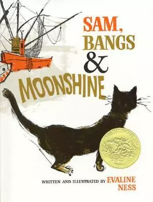 Sam Bangs & Moonshine - Hardcover Evaline Ness 0805003142 • $4.98