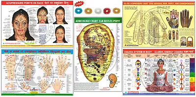 Acupressure Face Reflex Sujok Byol Chakra Ear Charts (Set Of 5) + 5 Rings • $15.99