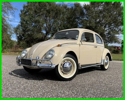 $19900 • Buy 1969 Volkswagen Beetle - Classic 