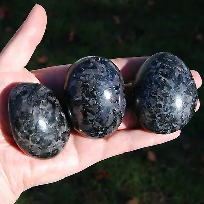 ONE Mystic Merlinite (Indigo Gabbro) Crystal Palm Stone Madagascar • $13.49