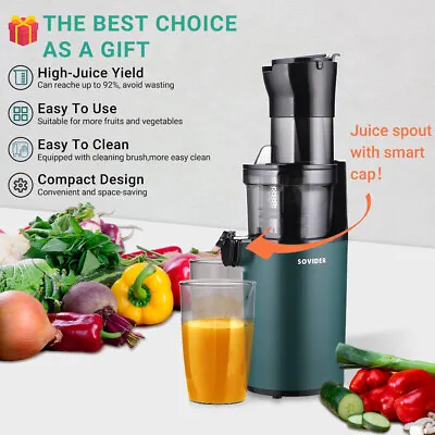 Slow Masticating Juicer Machine Cold Press Large Feed Chute With Brush 800ML Cup • $74.39