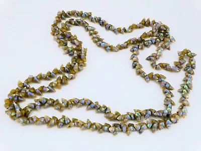 Vintage / Antique Tasmanian Maireener Shell Necklace - 123cms Aboriginal • $350