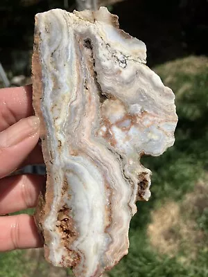 Crazy Lace Agate Slab (Mexico) • $9