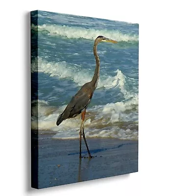 Bird Canvas Wall Art Coastal Decor Nautical On Beach Canvas Picture Ocean Bird • $19.99