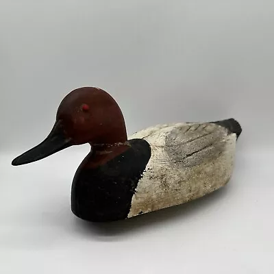 RARE Vintage Plasti-Duk Nuemann & Bennetts S10 Canvasback Duck Decoy Maryland • $49.99