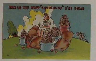 WAC Women's Army Corps Postcard Post Card Comic Funny WW2 Cutting Up Potatoes M • $4.75