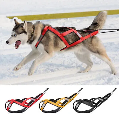Sledding Dog Weight Pulling Harness Sport Reflective X-Back Adjustable Canicross • £15.99