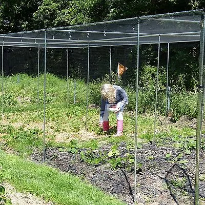 £257.23 • Buy Vegetable Or Fruit Cage Large Walk In 1.9m High With Door Netting Pegs And Clips
