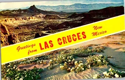 Vintage Postcard- Greetings From LAS CRUCES  New Mexico Unposted • $6.99